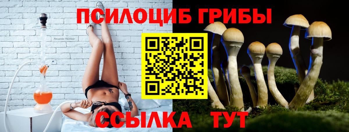 Псилоцибиновые грибы прущие грибы  Вход с VPN  Узловая  Галлюциногенные грибы MAGIC MUSHROOMS 
